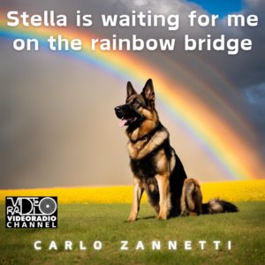 Stella is waiting for me on the raindow bridge - Carlo Zannetti